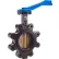 Legend Valve® T-367AB Butterfly Valve with BUNA Seals & 10 Position Handle, 3" Lug