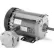 Marathon Motors Explosion Proof Motor, G871, 56C17G5324, 1/3HP, 115/208-230V, 1800RPM, 1PH, EPFC