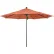 California Umbrella Venture 11' Patio Umbrella, Black Pole, Sunbrella 1A Dolce Mango Fabric