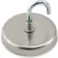 Master Magnetics Neodymium Magnetic Hook NA012500N - 40 Lbs. Pull Nickel - Chrome Plating - Pkg Qty 25