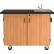 NPS Mobile Science Cabinet with Shelves & Sink, Chemical Resistant Top, 48"L x 28"W x 36-1/4"H, Oak
