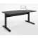 RightAngle™ Bonita Electric Height Adjustable Desk 48"W x 30"D, Black w/Black Base