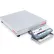 Ohaus® Defender™ D52P125RQL5, Bench Scale, 250 lb x 0.01 lb