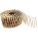 Freeman Coil Siding Nail SNRSG92-25WC, 2-1/2" x .92", Wire Collated, Galvanized Ring Shank, 3600/Bx