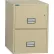 Phoenix Safe Vertical 25" 2-Drawer Letter Fire and Water Resistant File Cabinet, Putty - LTR2W25P
