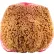 RollerLite Large Natural Sea Sponge, Beige, 12/Case - SPG-L