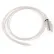RPB Safety GX4 Air Supply Hose, RZ