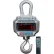 Brecknell BCS Electronic Crane Scale with Remote 10,000 lb Capacity x 5 lb Readability