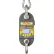 Dillon EDX-1T - EDXtreme Dynamometer with Radio Compatibility, 2,500 lb x 2/.5 lb