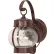 Nuvo 60/631, 1 Light-Wall Lantern-Onion Lantern W/Clear Seed Glass, Old Bronze, 6"W X 10.625"H