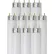 Sunlite® T8 Fluorescent Bulb, G13 Base, 32W, 3050 Lumens, 5000K, Daylight, Pack of 10