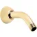 Speakman 5-1/2" Shower Arm Polished Brass Finish