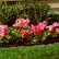 Professional-Grade Lawn Edging
