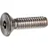 10-24 x 1" Tamper-Proof Security Cap Screw - Flat Socket Head - 18-8 Stainless Steel - 100 Pk