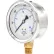 Pic Gauges 4" Pressure Gauge, Liquid Filled, 300 PSI, Stainless Case, Lower Mount, 201L-404H