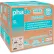 Phade™ 511208 Marine Biodegradable Straws, 9"L, Ocean Blue, 720/Carton