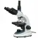 AmScope T380C-10M 40X-2500X LED Trinocular Compound Microscope with 10MP Digital Camera