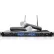 Technical Pro Professional UHF Dual Wireless Microphone System, WM1302