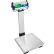 Adam Equipment CPWplus 75P Digital Bench Scale with Indicator Stand, 165 lb x 0.05 lb