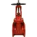 Watts 0702325 - 6" 408-OS&Y Epoxy Coated Gate Valve