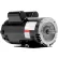 Worldwide Electric Corporation OPE General Purpose Motor, ODP, 2HP, 3600 RPM, 115/230V, 56C Frame