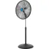 Oscillating Pedestal Fans