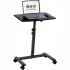 Laptop Carts & Stands