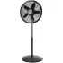 Pedestal Fans
