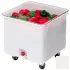 Vegetable Crisper
