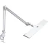 Clamping and Clip On Desk Lamps