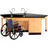 ADA Compliant Lab Workstations