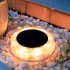 Solar Powered Garden Lights