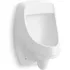 Kohler Urinals