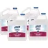 Foodservice Sanitizers