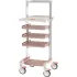 Endoscopy Carts