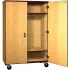 Wood Mobile Wardrobe Cabinets