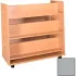Wood-Like Book Carts