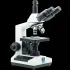 Trinocular Microscopes