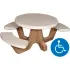 ADA Concrete Picnic Tables