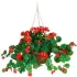 Hanging Baskets
