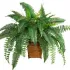 Artificial Plants
