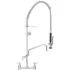 Pre Rinse Units With Add On Faucets