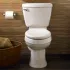 Two-Piece Toilets With Everclean Surface