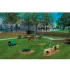 Dog Agility Equipment