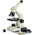 Compound Microscopes