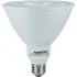 LED PAR Lamps