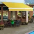 Awntech 14'W Heavy-Duty Motorized Retractable Awnings