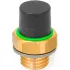 Brass Breather Valves w/ Plastic Cap