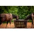 Equine Feeders