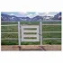 Poly Gates